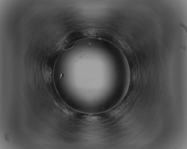 X0000093210332200710031425