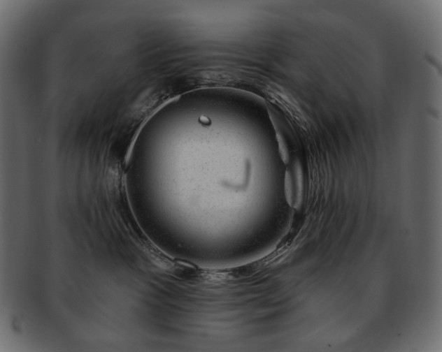 X0000093210333200710031425