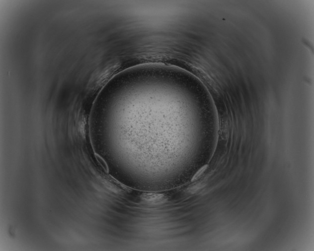 X0000093210334200710031425