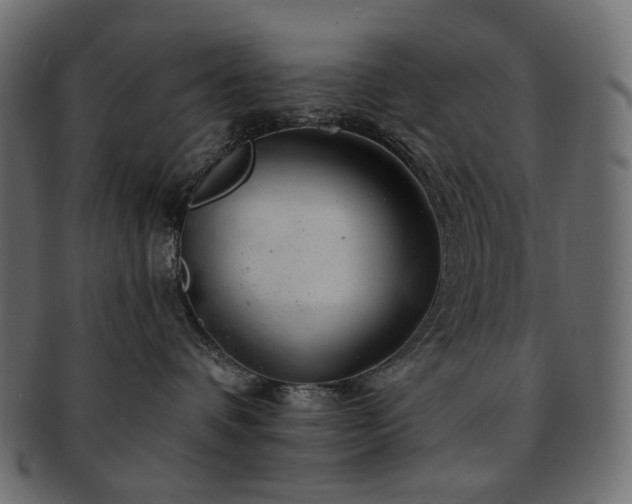 X0000093210336200710031425