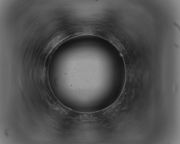 X0000093210338200710031425