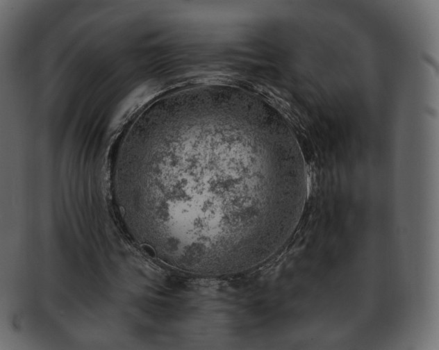 X0000093210339200710031425