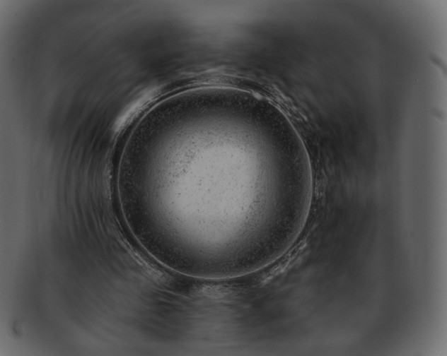 X0000093210341200710031425