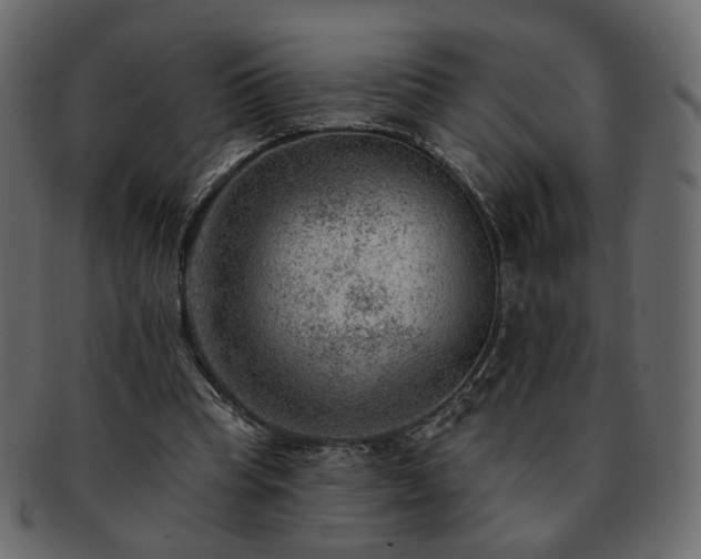 X0000093210345200710031425