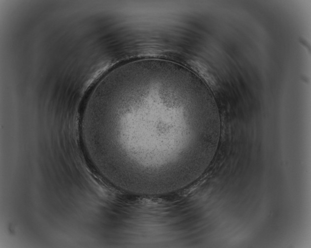 X0000093210346200710031425