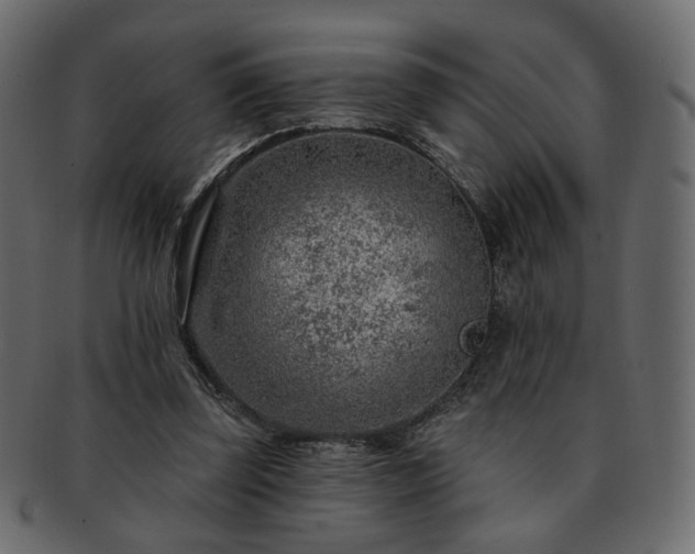 X0000093210347200710031425