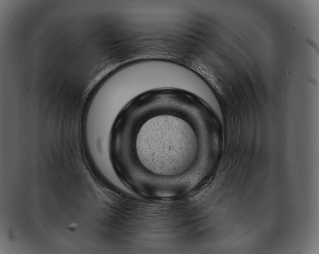 X0000093210348200710031425