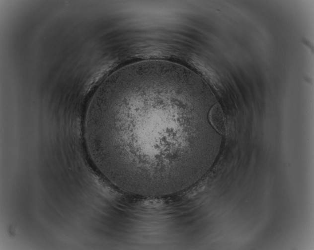 X0000093210353200710031425