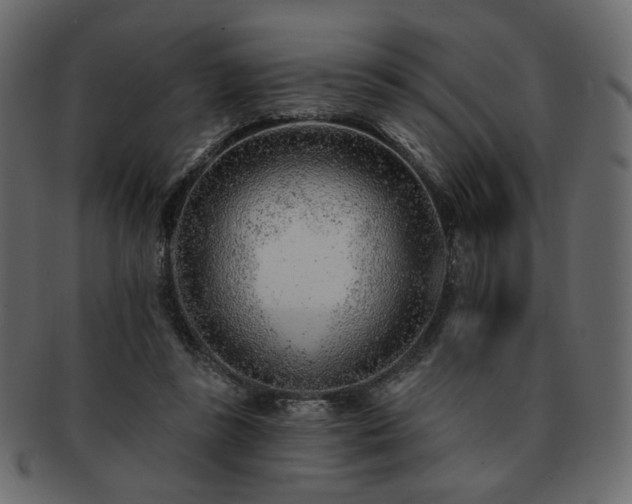 X0000093210355200710031425