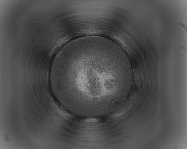 X0000093210357200710031425