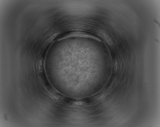 X0000093210360200710031425