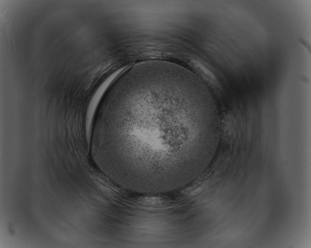 X0000093210361200710031425