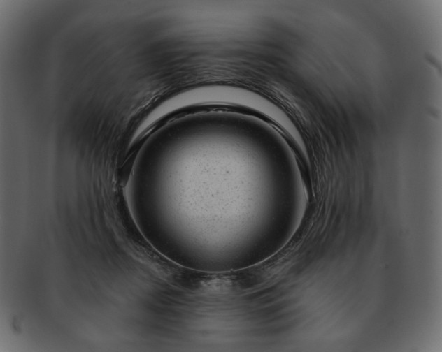 X0000093210362200710031425