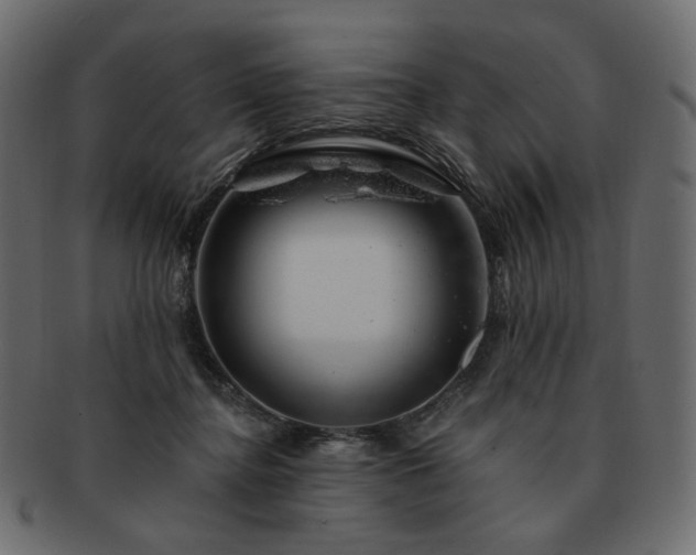 X0000093210364200710031425