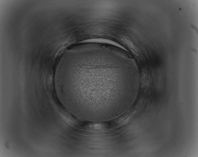 X0000093210365200710031425