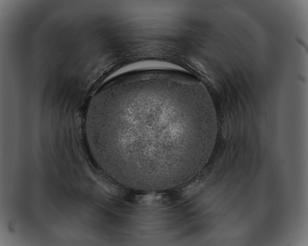 X0000093210366200710031425