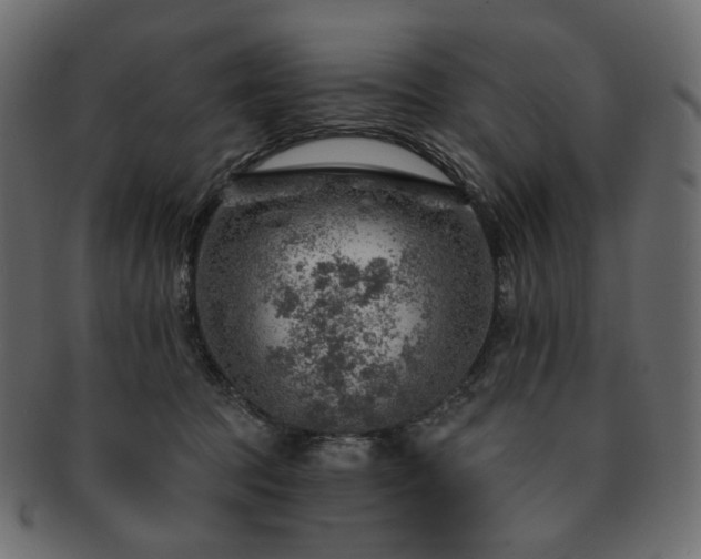 X0000093210369200710031425