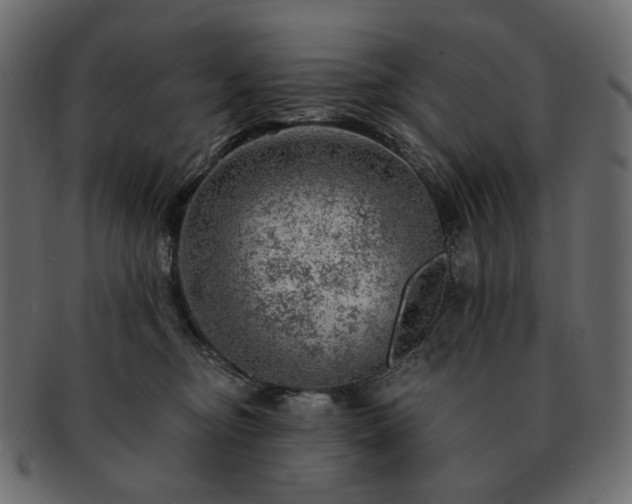 X0000093210374200710031425