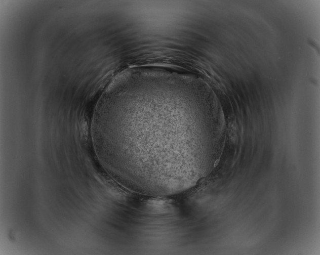 X0000093210375200710031425