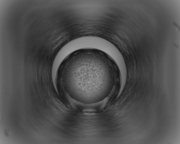 X0000093210376200710031425