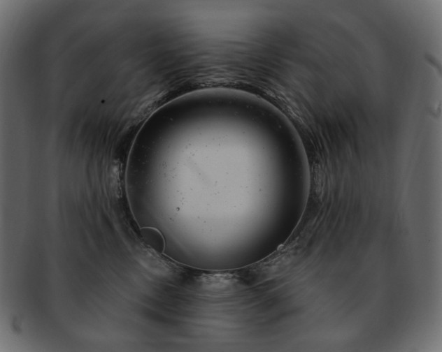 X0000093210378200710031425