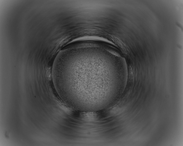 X0000093210383200710031425