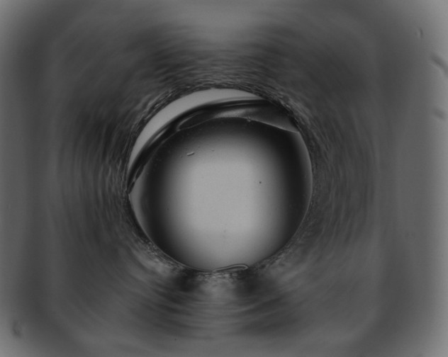 X0000093210384200710031425