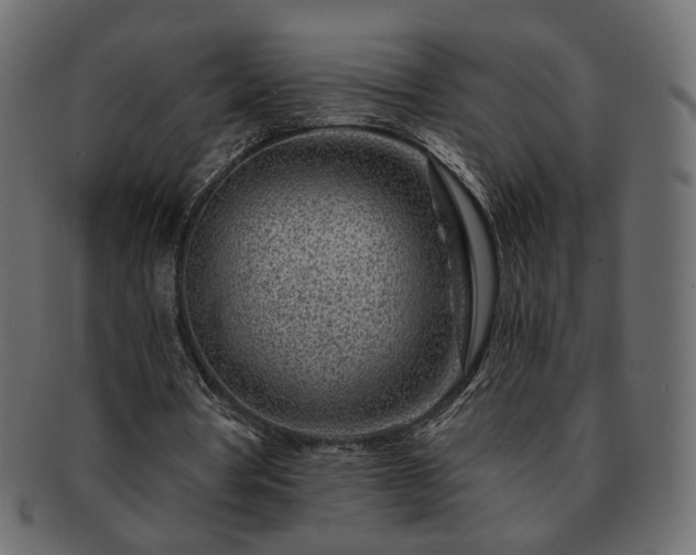 X0000093210386200710031425