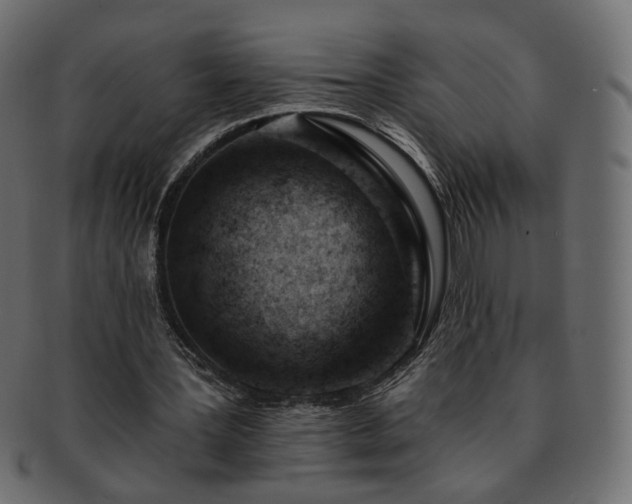 X0000093210387200710031425