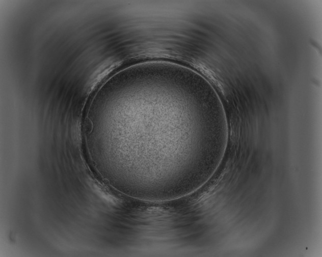 X0000093210390200710031425