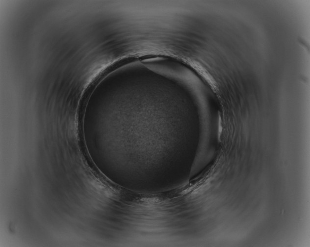 X0000093210391200710031425