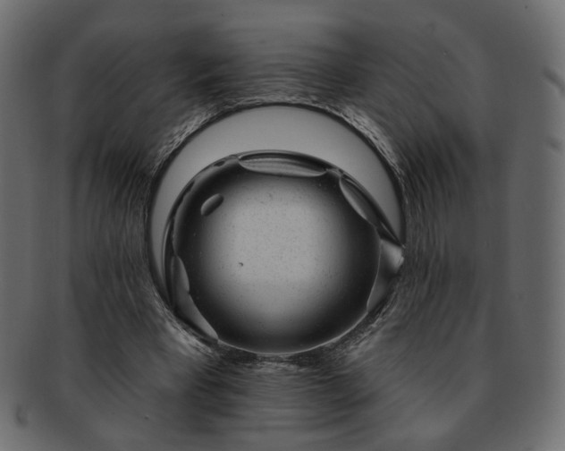 X0000093210393200710031425