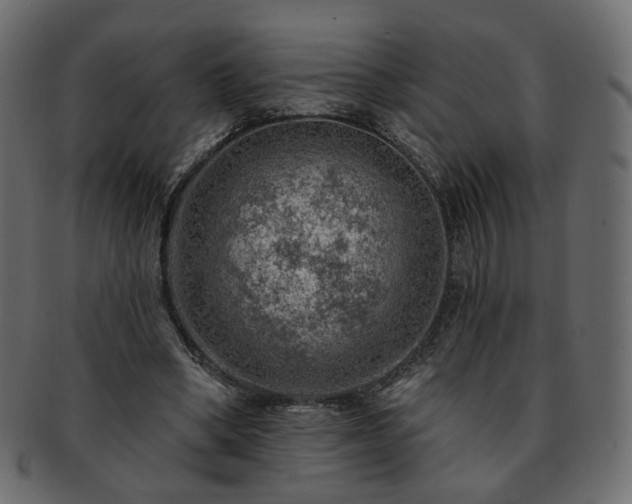 X0000093210394200710031425