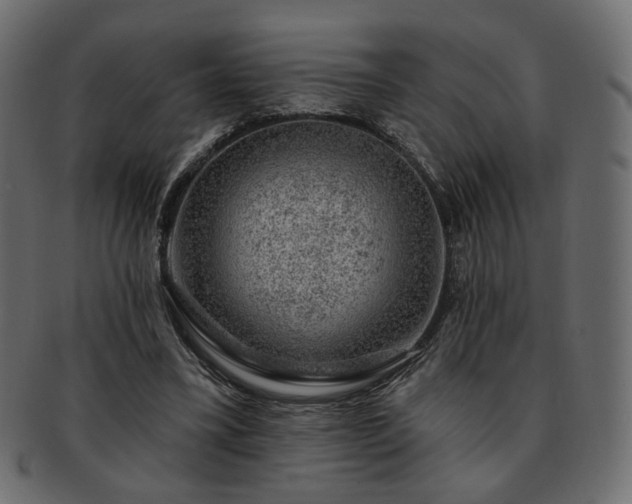 X0000093210395200710031425