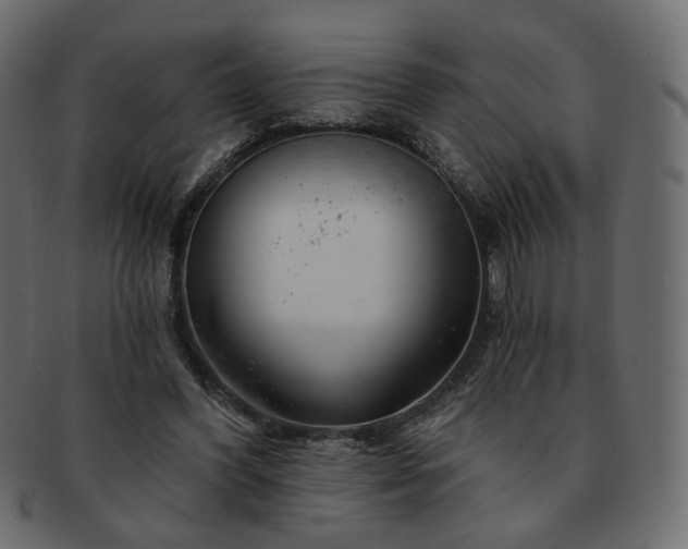 X0000093210396200710031424