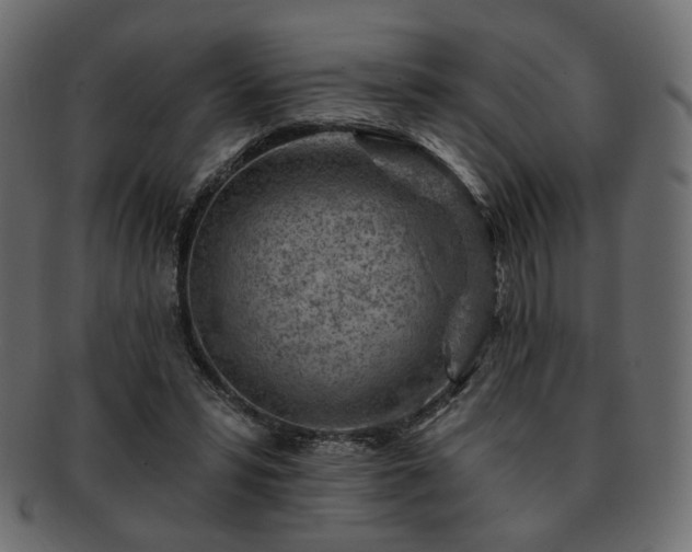 X0000093210399200710031424