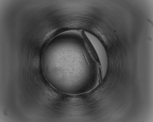 X0000093210400200710031424