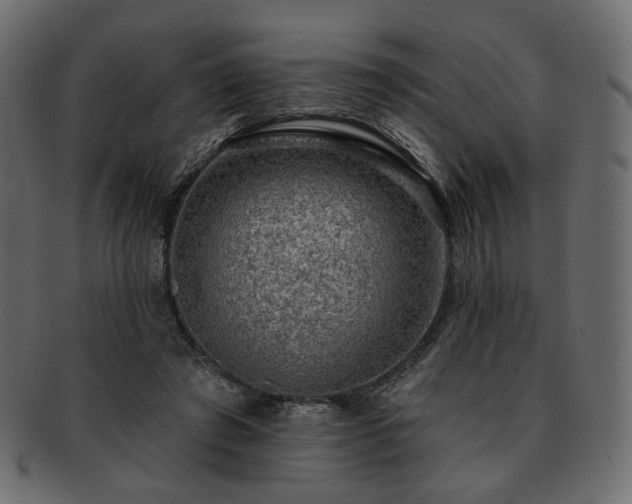 X0000093210401200710031424