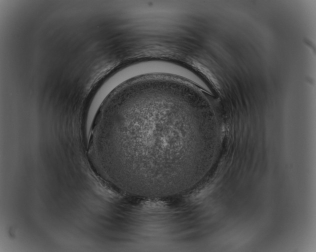 X0000093210403200710031424