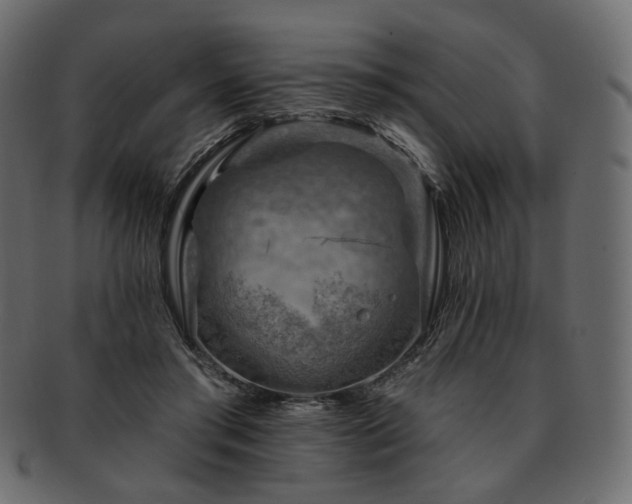 X0000093210405200710031424