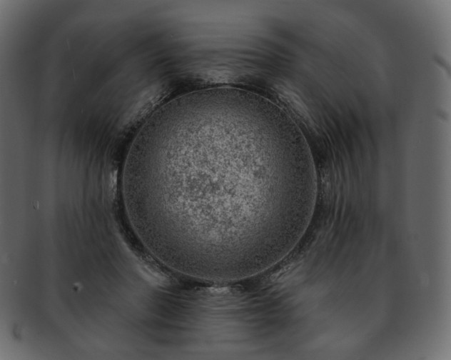 X0000093210406200710031424