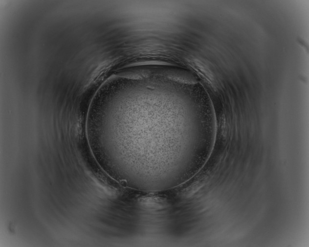 X0000093210408200710031424