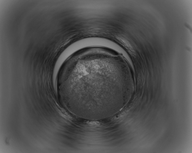 X0000093210409200710031424