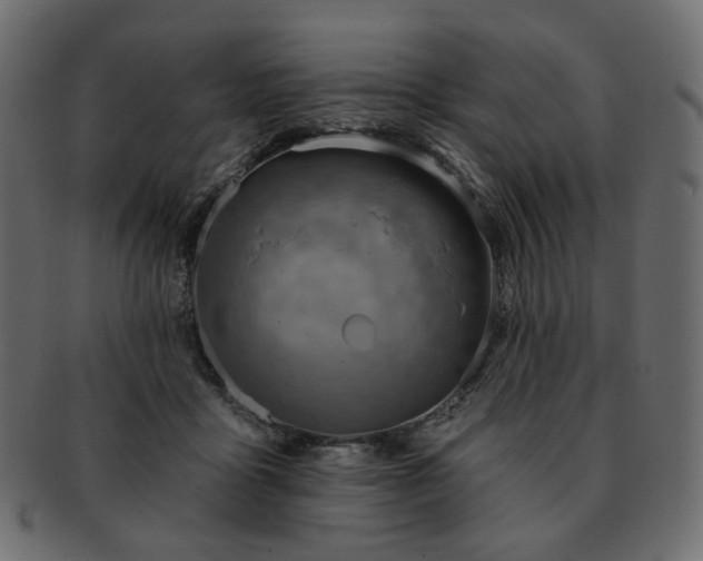 X0000093210411200710031424