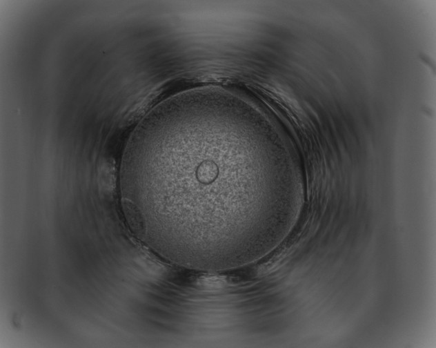 X0000093210413200710031424