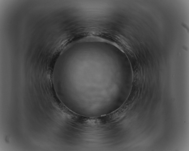 X0000093210415200710031424