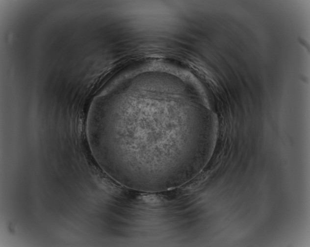 X0000093210417200710031424