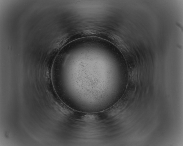 X0000093210418200710031424