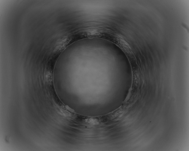 X0000093210419200710031424