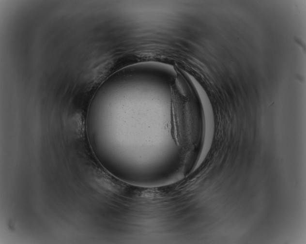 X0000093210420200710031424